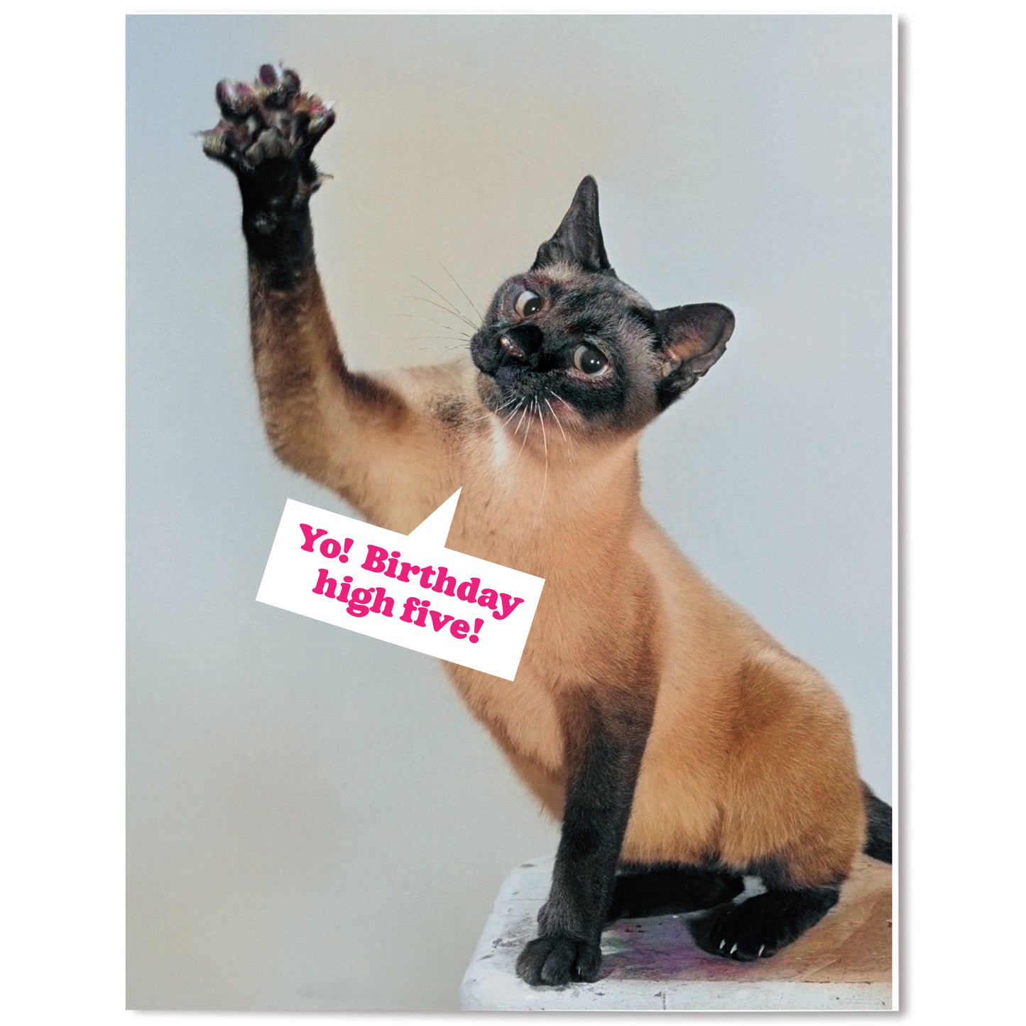 "High Five" Birthday Card