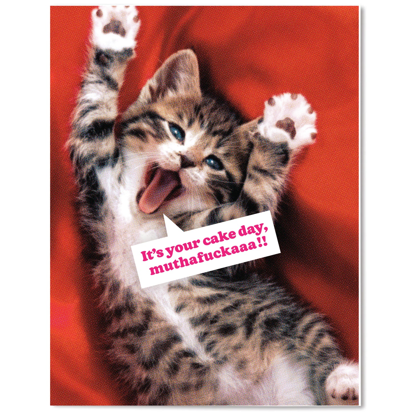 "Muthafucka Cat" Birthday Card