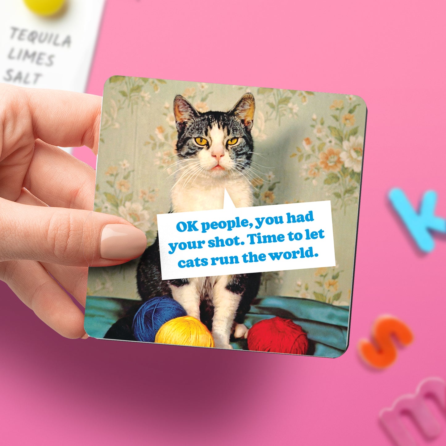 "Cats Run the World" Magnet