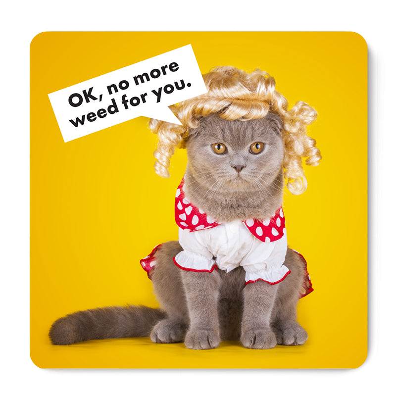 No More Weed for You - Magnet