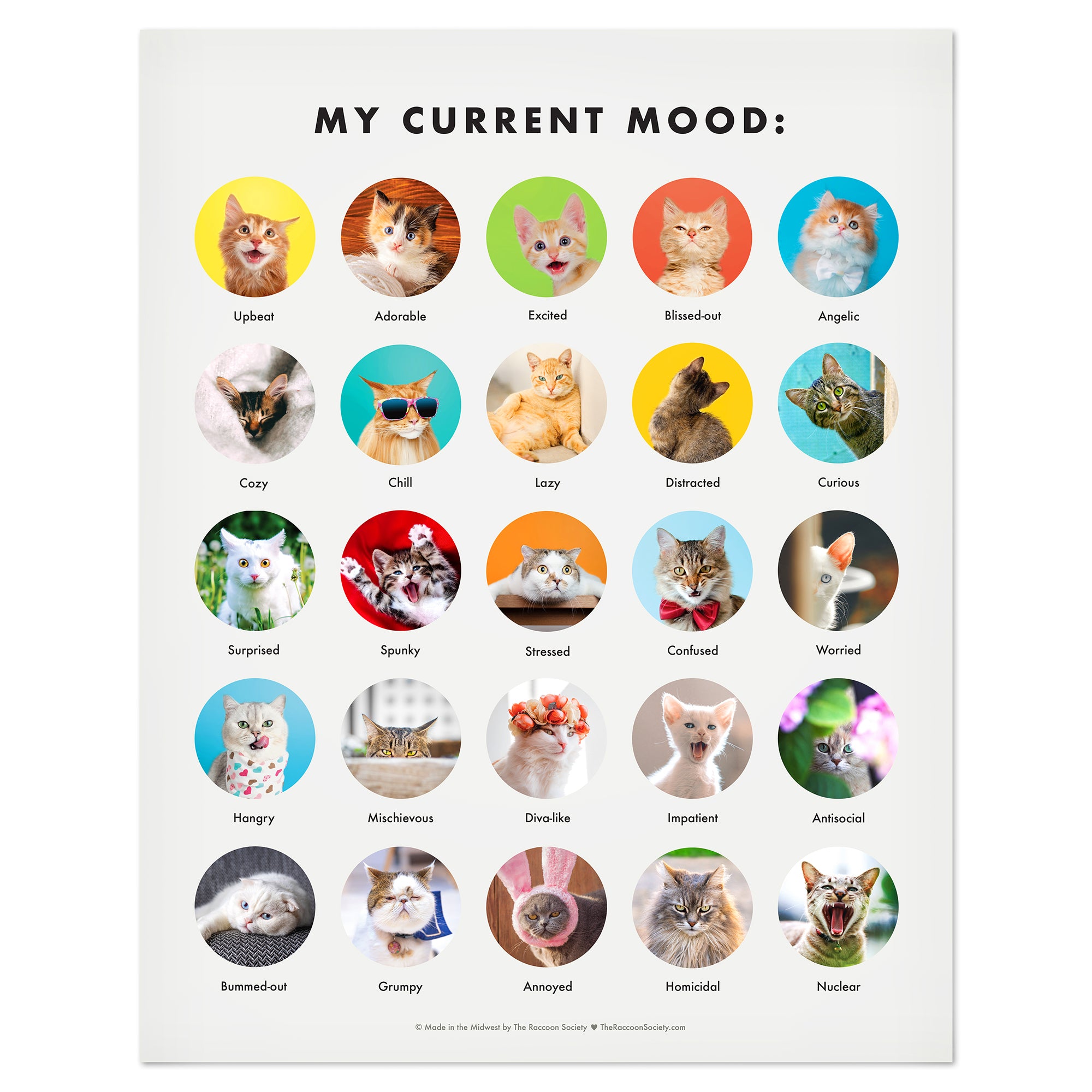 Cat Mood Chart 11x14" art print THE RACCOON SOCIETY