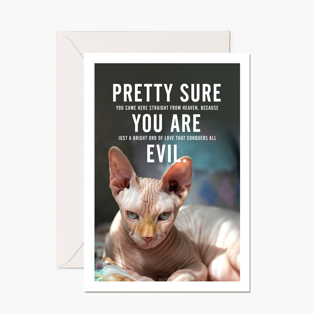 Pissed-off Cat - You Are Evil