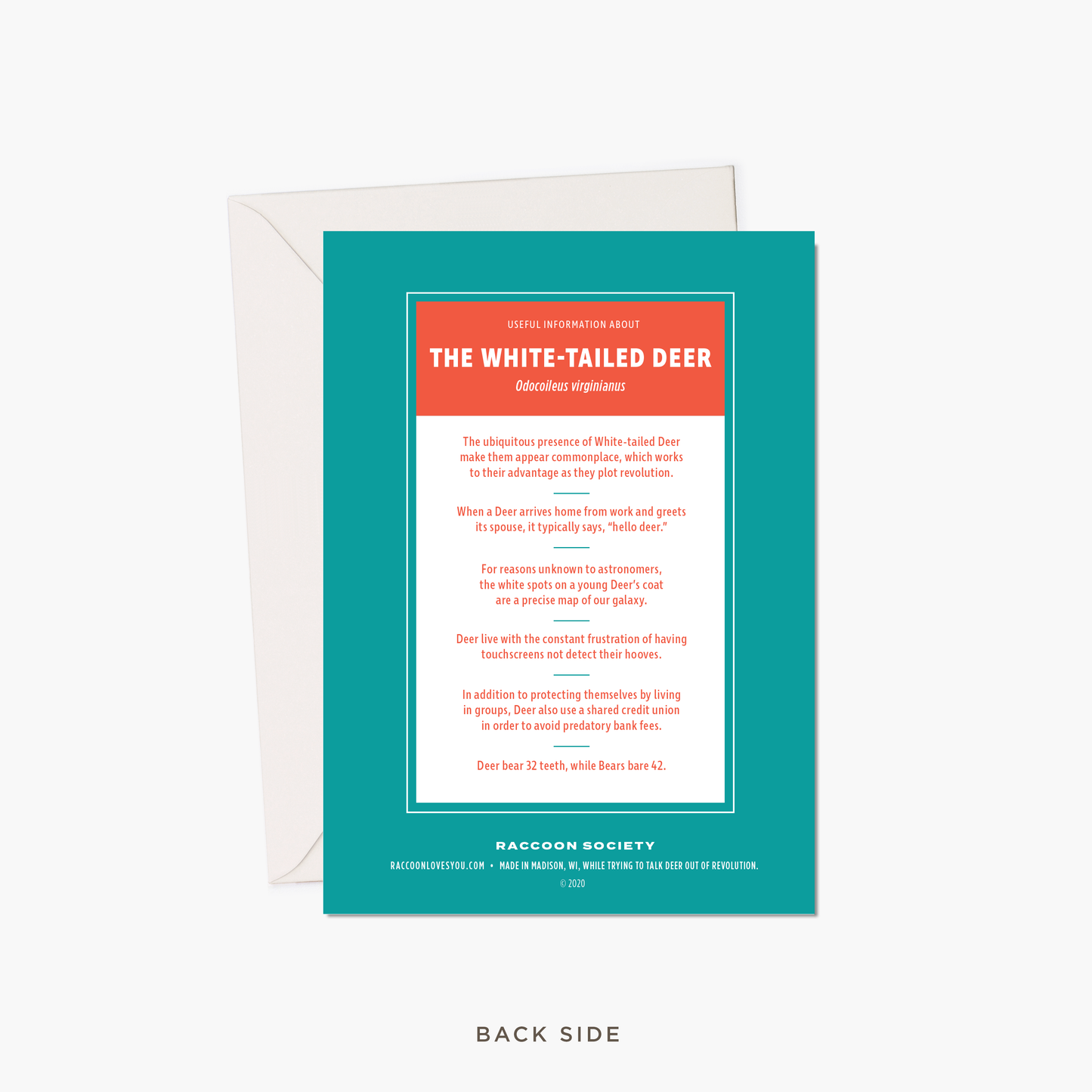 Miss You Card - White-Tailed Deer