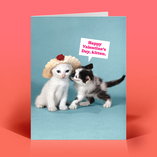 Valentine's Day Kitten Card