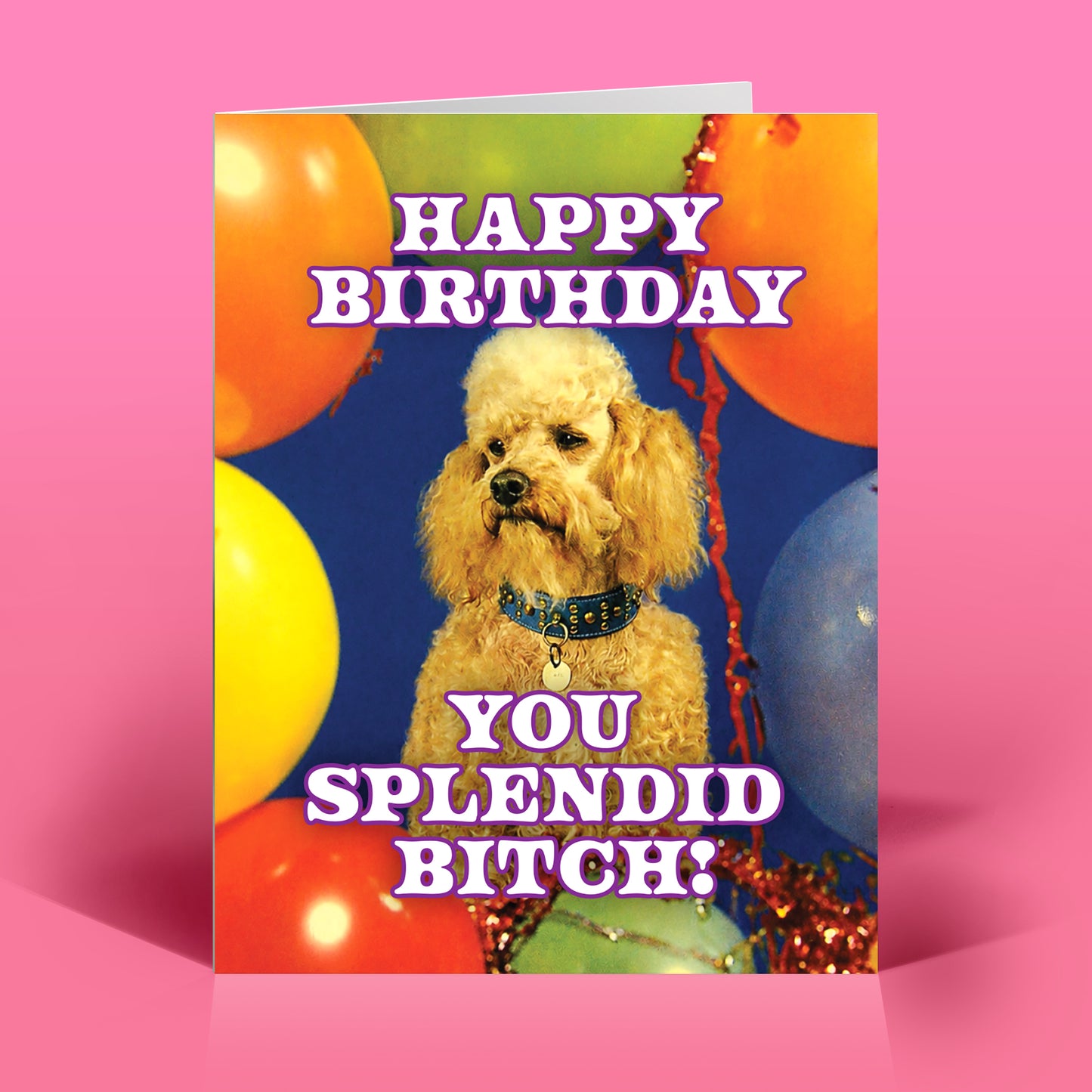 Splendid Bitch! Birthday Card