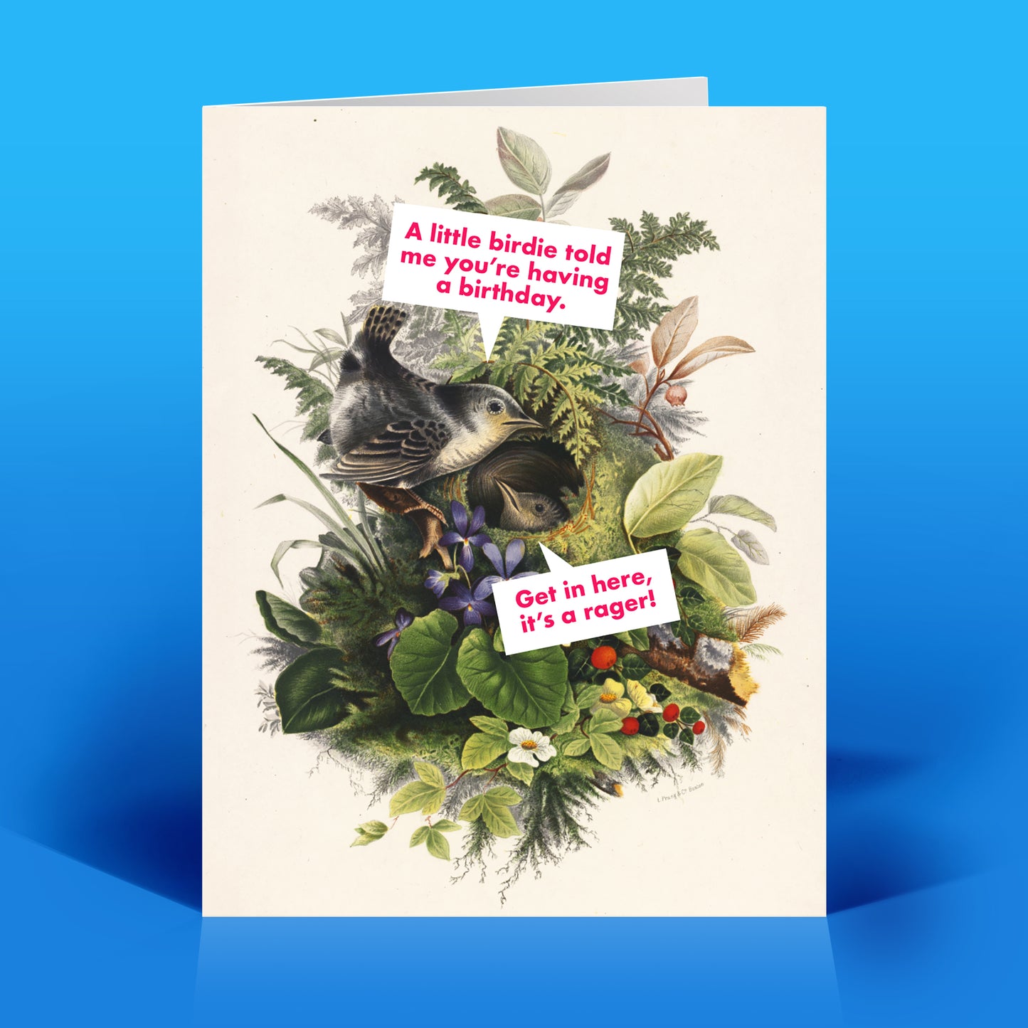 A Little Birdie Birthday Card