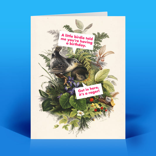 A Little Birdie Birthday Card