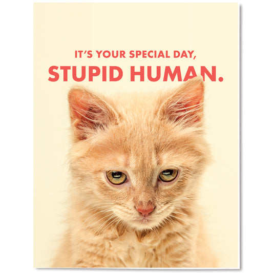 Your Special Day Card