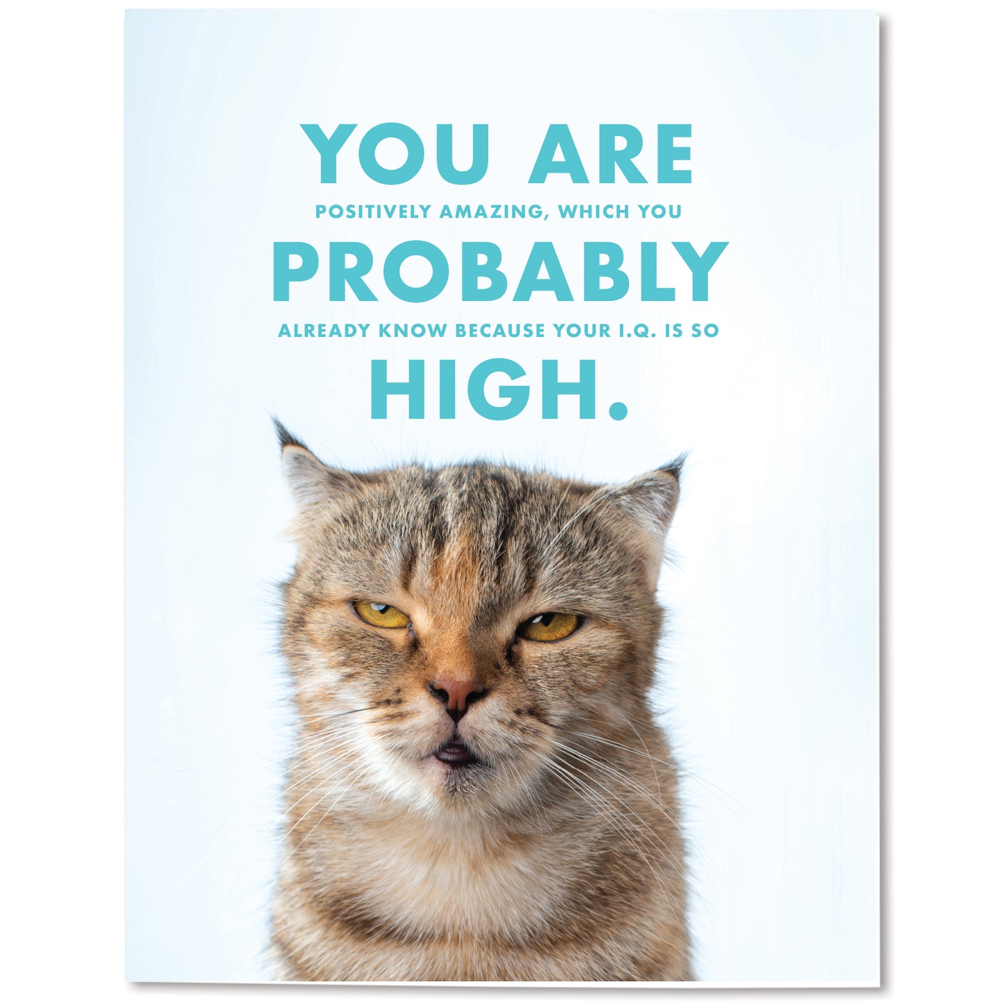 You Are High Card