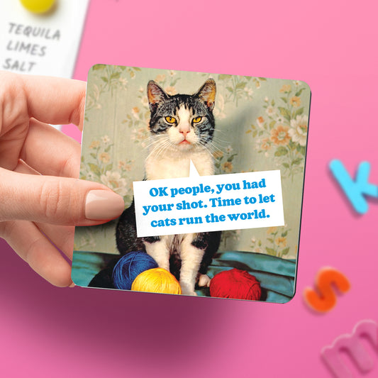 "Cats Run the World" Magnet