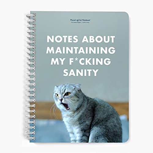 Notes on Maintaining My Sanity - Notebook