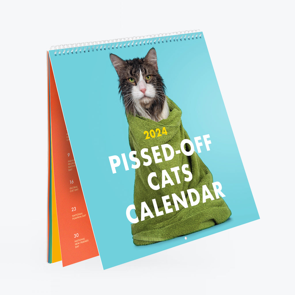 2024 Pissed-off Cats Calendar – The Raccoon Society