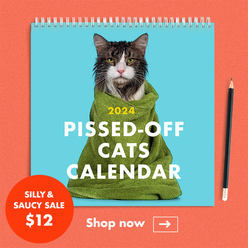 The Raccoon Society   Pissed Off Cats 2024 Calendar Web Home Feature 4f7381a6 4fbf 46bf 93f1 C007890c8e97 798x798 