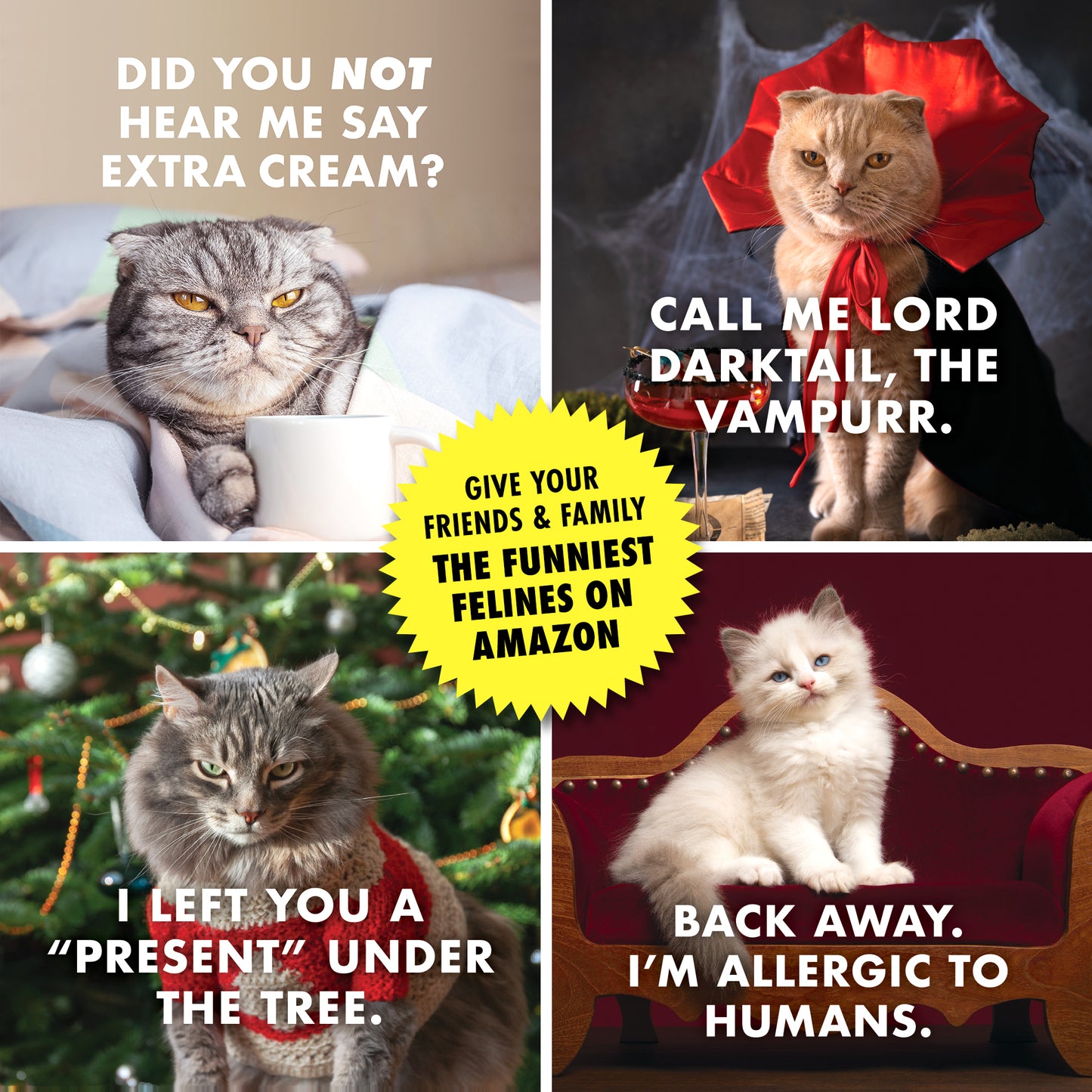 2025 Pissed-off Cats Calendar - SOLD OUT
