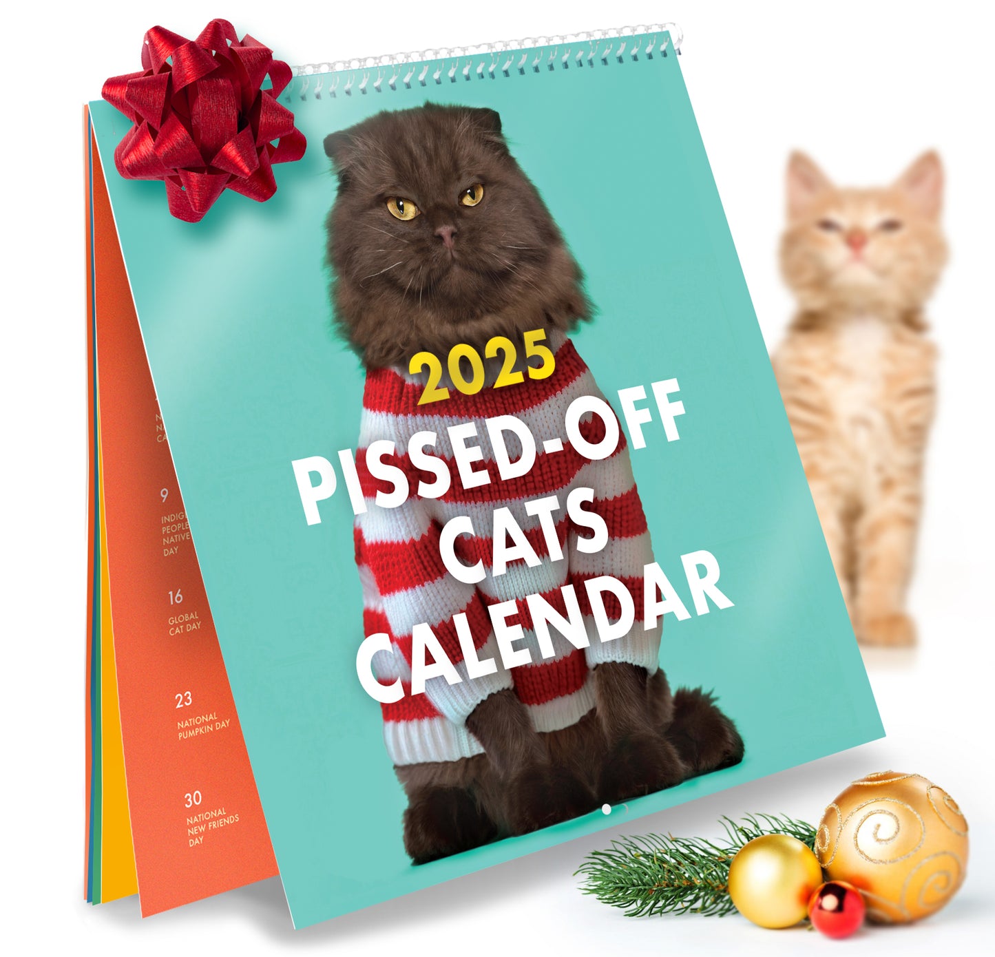 2025 Pissed-off Cats Calendar - SOLD OUT