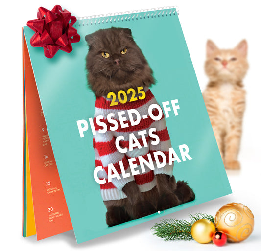 2025 Pissed-off Cats Calendar - SOLD OUT