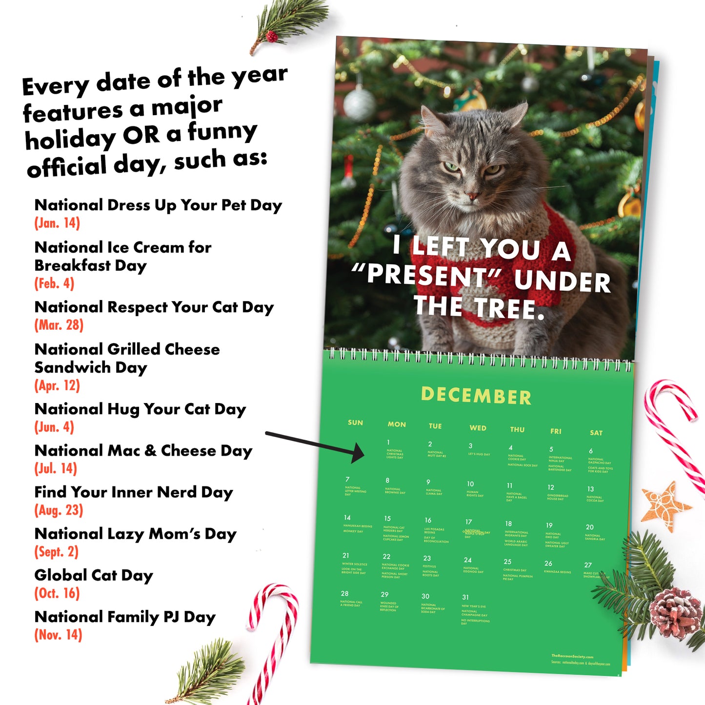 2025 Pissed-off Cats Calendar - SOLD OUT