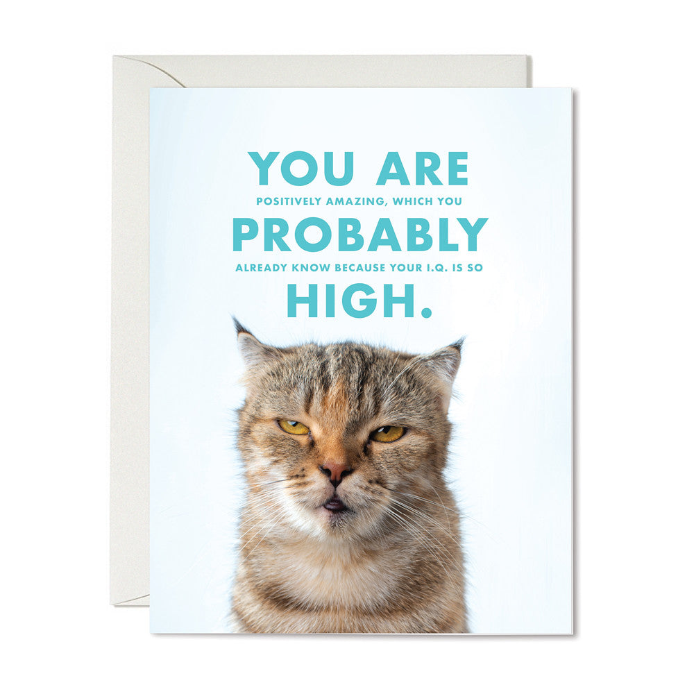 Funny and Witty Greeting Card Image by The Raccoon Society