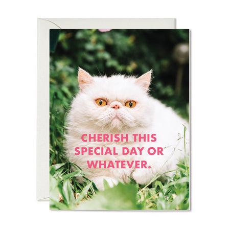 Funny and Witty Greeting Card Image by The Raccoon Society