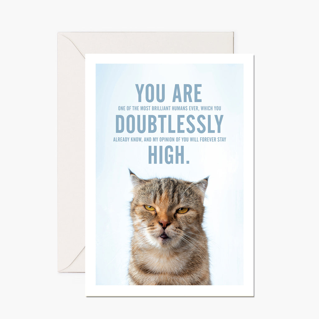 Pissed-off Cat - You Are High