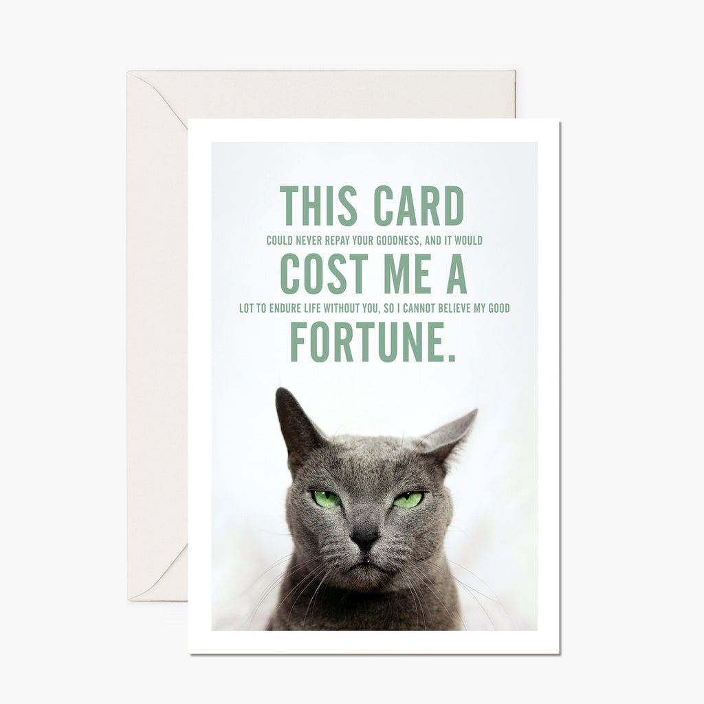 Pissed-off Cat - Cost a Fortune