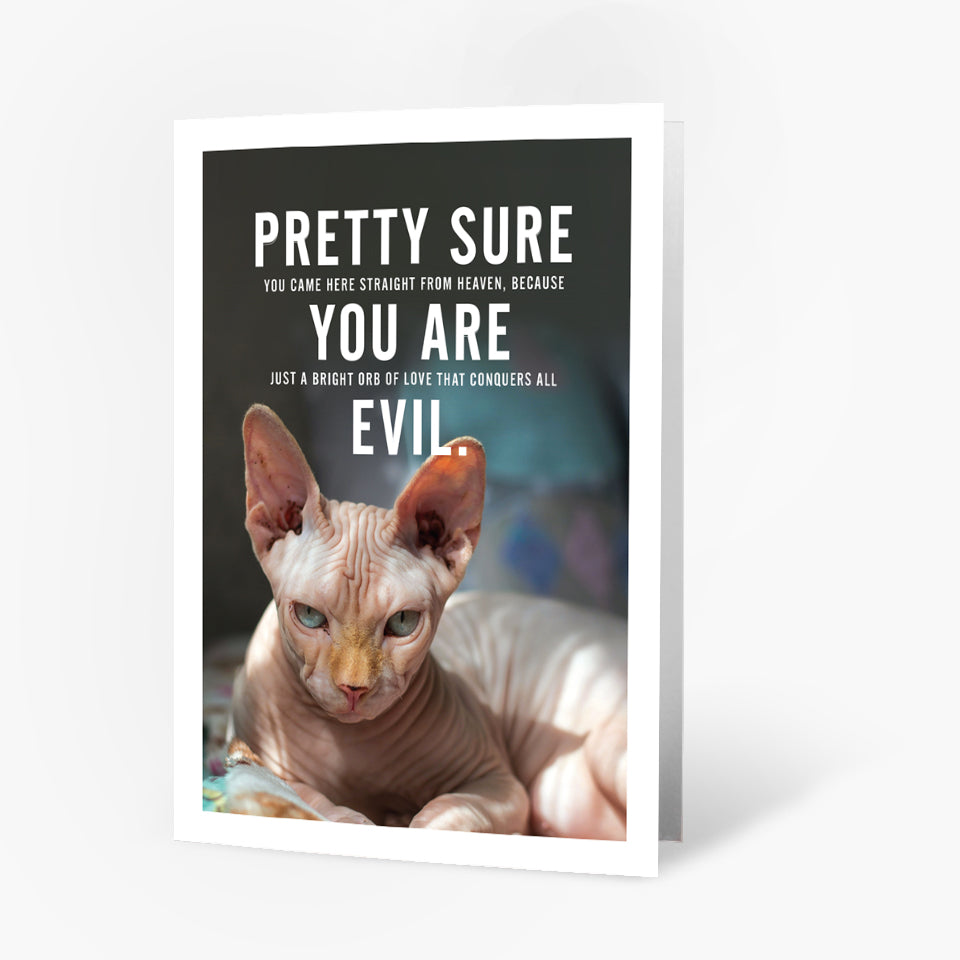 Pissed-off Cat - You Are Evil